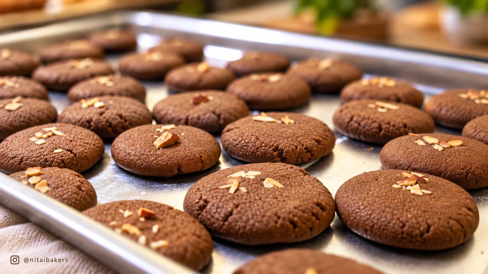 Fresh Nitai Bakers carob cookies